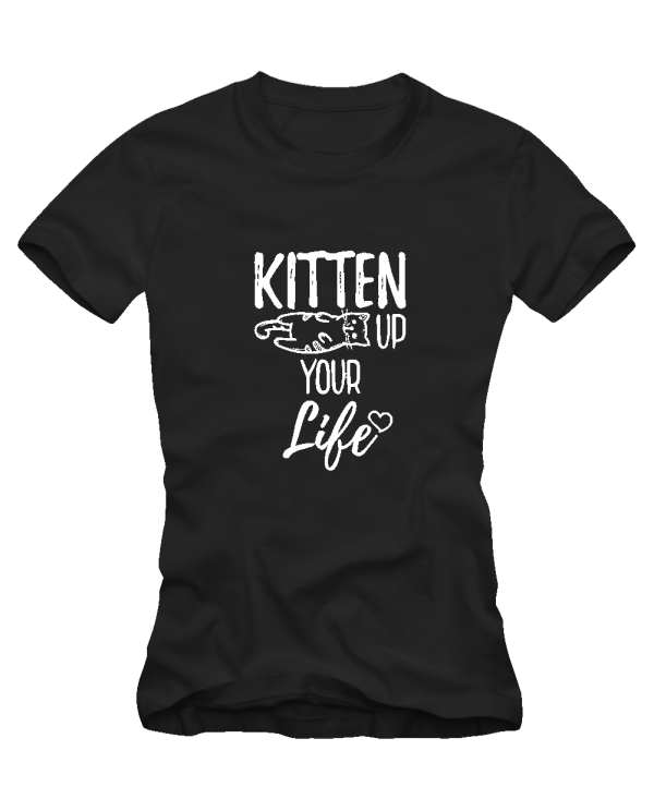 Kitten up your life Kitten up your life